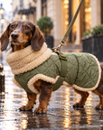 Manteau de Pluie pour Chien 'Sherpa Olive' par Paikka
