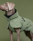 Parka Imperméable pour Chien Doublure Laine Kaki par PAIKKA