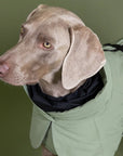 Parka Imperméable pour Chien Doublure Laine Kaki par PAIKKA