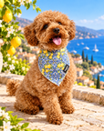 Bandana pour Chien Amalfi – Citrons & Majolique Pawppy Paris