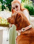Collier pour Chien Malia Hunter Beige