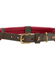 Collier pour Chien Malia Hunter Bordeaux
