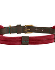 Collier pour Chien Malia Hunter Bordeaux