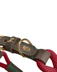 Collier pour Chien Malia Hunter Bordeaux