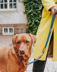 Collier pour Chien Malia Hunter Marine