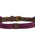 Collier pour Chien Malia Hunter Violet