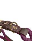 Collier pour Chien Malia Hunter Violet