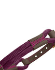 Collier pour Chien Malia Hunter Violet