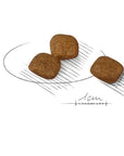 Royal Canin Poodle Croquettes