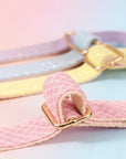 Collier pour Chien Daisy – Paillettes & Boucle Gravée Pom d’Azur