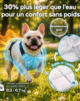 Gilet Rafraîchissant Premium pour Chien – Fraîcheur Longue Durée