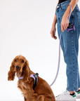 Laisse pour chien Rose Réfléchissante Tri Ponti 118cm