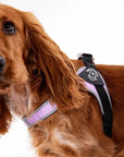 Harnais Chien Tri Ponti Easy Fit Tour de Poitrine Réglable Rose - Pom D'Azur