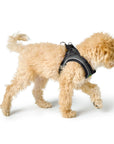 Harnais Chien Hilo-Confort Réfléchissant Gris par Hunter