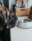Mélamine écuelle Valencia pour Petits Chiens et Chats par Hunter