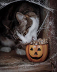 Halloween Turkey and Pumpkin Dog Treats