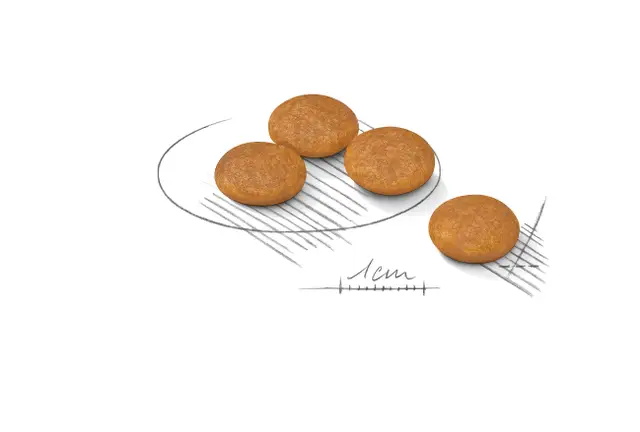 Croquettes Petits Chiens Mini Dermacomfort Royal Canin 1kg