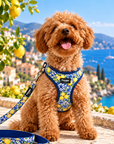 Laisse Amalfi Pawppy Paris