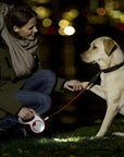 FLEXI Laisse pour Chien Visibilité et Sécurité - Pom D'Azur