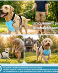 Gilet Rafraîchissant Premium pour Chien – Fraîcheur Longue Durée