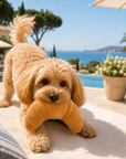 Jouet Croissant pour Chien avec Couineur Pom d'Azur