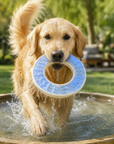 Anneau Rafraîchissant pour Chien à Congeler Jouet d'Eau Réutilisable 13,5cm lifestyle