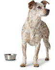 Bol en acier Inoxydable par hunter 550ml pour chien