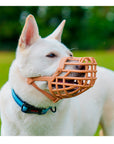 Muselière Panier Premium pour Chien – Confort & Sécurité