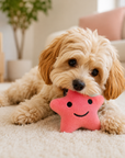 Jouet pour Chien Etoile de Mer 'Collection Croisette' Lifestyle