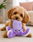 Jouet pour Chien Hank le Poulpe 'Collection Croisette' lifestyle
