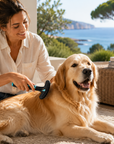 Etrille À Double Rang 39 Dents Pour Chiens Zolux