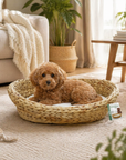 Tressam Hyacinth Basket for Dogs and Cats