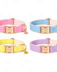 Collier pour Chien Daisy – Paillettes & Boucle Gravée Pom d’Azur