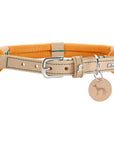 Collier pour Chien Malia Hunter Orange