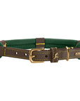 Collier pour Chien Malia Hunter Vert