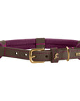 Collier pour Chien Malia Hunter Violet