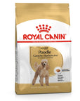 Croquettes Royal Canin Caniche