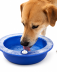 Gamelle Rafraîchissante pour Chien et Chat – Abreuvoir Réfrigérant Réutilisable