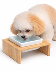 Gamelle bois et céramique pour Chien Simple