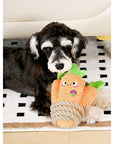 Botte de Carottes Jouet pour Chien