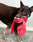 Jouet pour chien Kong Shimmy Crabe avec Couineur l