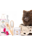 Kit Toilettage Chiot Spitz