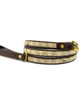 Laisse pour Chien Golden Shell