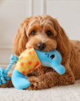 Jouet pour Chien Flipper le Dauphin 'Collection Croisette'