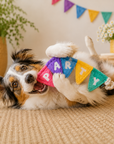 Peluche pour Chien Banderole d'anniversaire 'Party'