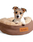 Lit Donut pour petit Chien et Chat