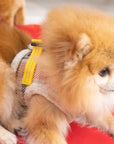 Manteau Harnais pour Chien YETI Automne par Pom d'Azur lifestye