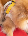 Manteau Harnais pour Chien YETI Automne par Pom d'Azur lifestyle 2