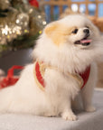 Manteau Harnais pour Chien YETI Rouge par Pom d'Azur Noel
