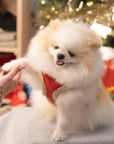Manteau Harnais pour Chien YETI Rouge par Pom d'Azur Noel 3